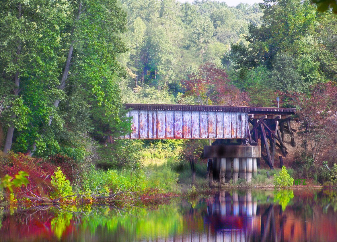 Building Photo - 204 Timberline Dr