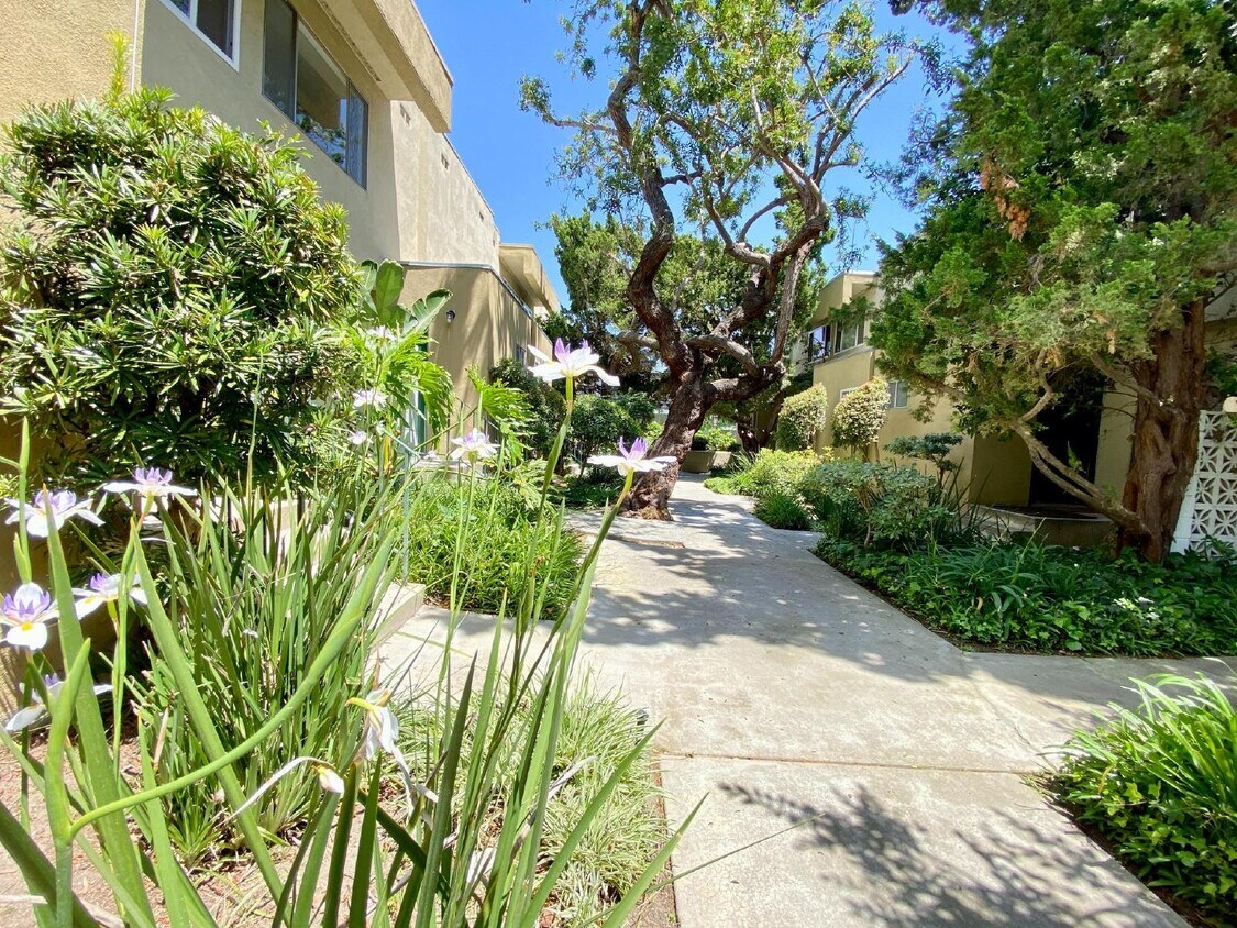 Primary Photo - 2 + 1.5 Townhouse within a Gated Community...