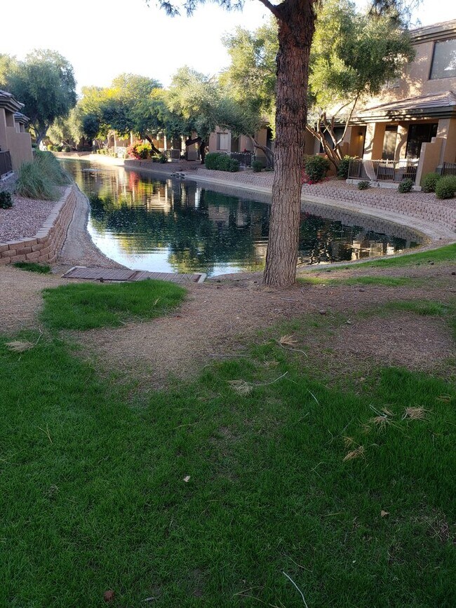 Foto del edificio - COMING SOON IN THE BRIDGES OF OCOTILLO CHA...