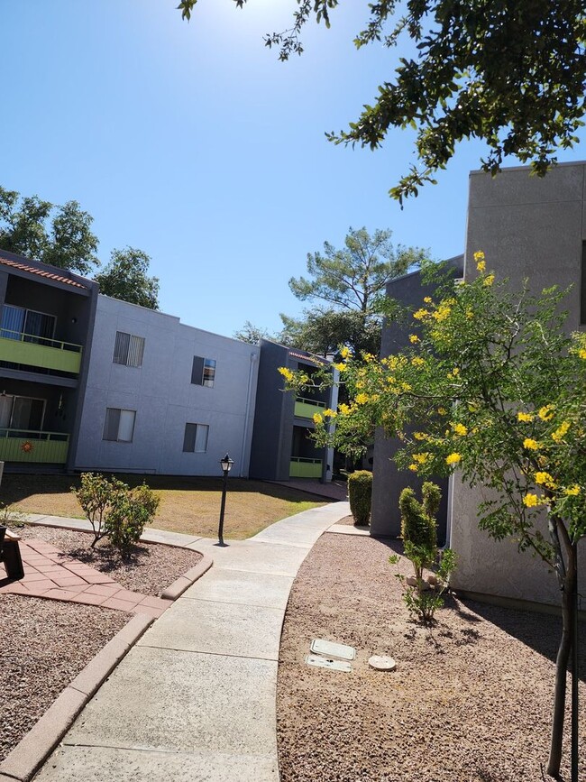 Interior Photo - Saguaro Villas