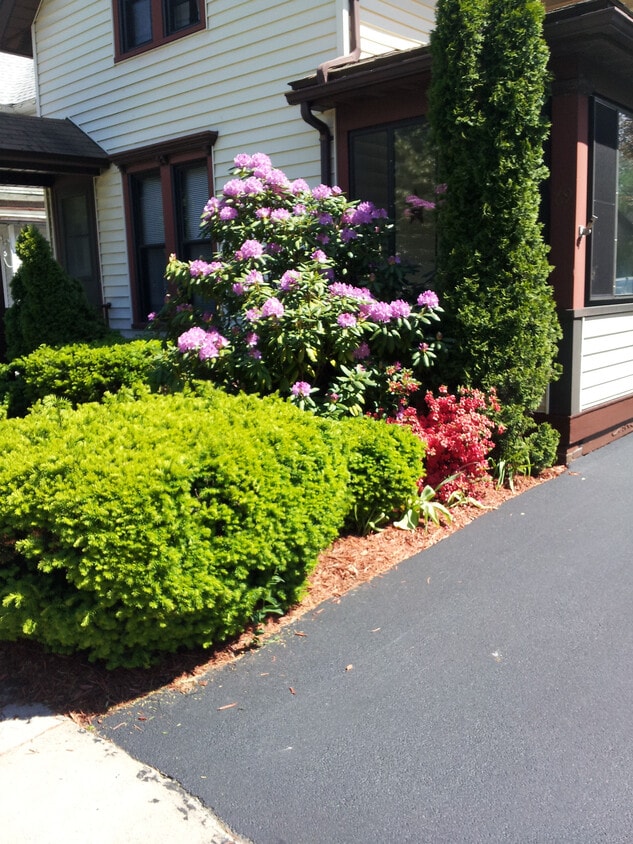 House front - 69 Cypress St