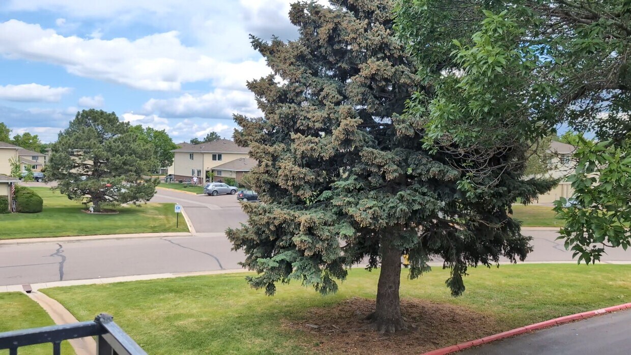 Foto principal - 3355 S Flower St