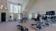 This fitness center is housed in a single-floor space distinguished by its dramatically vaulted ceilings, which lend an open, airy atmosphere to the room. Large, floor-to-ceiling windows line the walls, flooding the interior with natural light and offering views of surrounding greenery, creating an inviting environment for exercise. A ceiling fan and stylish globe pendant light fixtures complement the bright, white interior, maintaining a clean and modern aesthetic.

The space is outfitted with a comprehensive selection of equipment from quality brands, including True-brand cardio machines such as an elliptical and a rowing machine, as well as stationary cycling bikes. A multi-station cable and pulley strength training unit serves as a central fixture, accompanied by a dumbbell rack offering a range of free weights. A large wall-mounted mirror on one side of the room visually expands the space while allowing users to monitor their form. The neutral carpet flooring and white walls maintain a clean, minimalist look throughout. Overall, the fitness center balances functionality with an uplifting, light-filled ambiance.