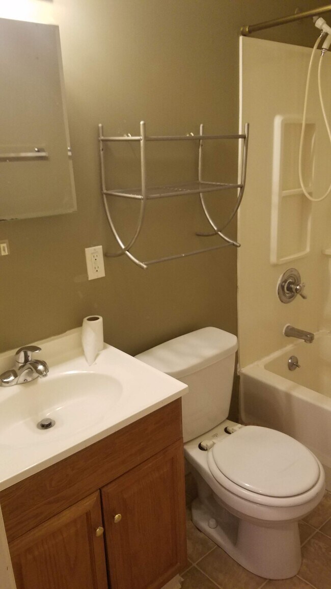 Newly Remodeled Bathroom - 1315 S Parker Dr
