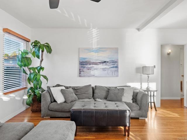 Foto del edificio - 367 Hedge Way