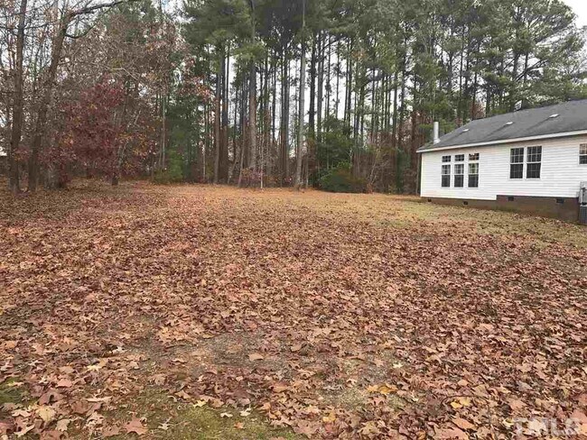 backyard - 8936 Turner Dr