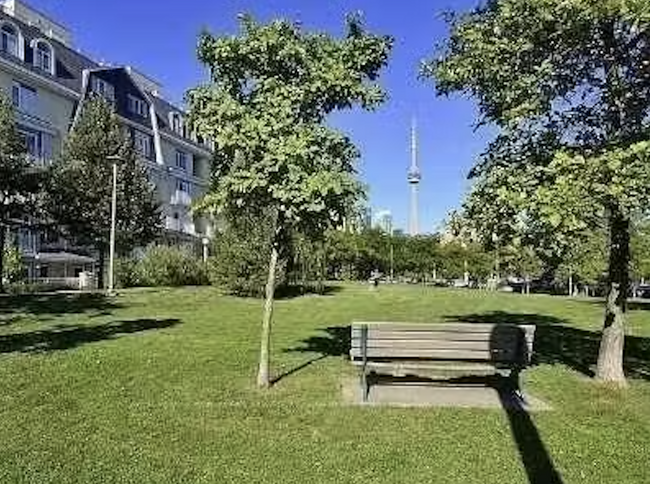 Vue sur le parc adjacent et la tour CN - 30 Stadium Rd