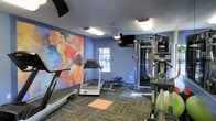 This single-story fitness room is designed to support a well-rounded exercise routine within a compact, efficiently arranged space. The room is finished with blue-painted walls that contribute to a calm yet energizing atmosphere, complemented by a striking large-scale abstract mural depicting athletic figures in vivid oranges, blues, and reds — serving as a dynamic focal point and motivational backdrop.

The flooring consists of patterned carpet tiles with an exercise mat area near the cardio equipment, providing functional surface variety. Cardio offerings include multiple treadmills positioned toward the windowed wall, which allows natural light to filter into the space. A ceiling fan with an integrated light fixture aids in air circulation during workouts, alongside recessed and flush-mounted overhead lighting for consistent illumination.

A wall-mounted flat-screen television provides entertainment while exercising. On the opposite side of the room, a multi-station cable strength machine offers a range of resistance training options. An adjustable weight bench is centrally positioned for versatility. Overall, the space is purposefully outfitted to accommodate both cardiovascular and strength training needs in a motivating, well-lit environment.