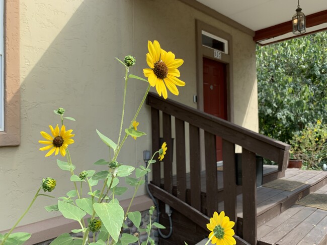 Room for rent. Short term. Fully Furnished. All bills included. Primary Suite with private bathroom. - 905 Prospect Ave