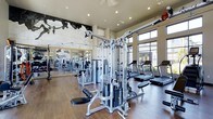 This modern fitness center offers a comprehensive workout environment designed to meet a wide range of exercise needs. The space is defined by its impressive soaring ceilings, which lend an open, airy atmosphere throughout the facility. Large windows along one wall flood the interior with abundant natural light, creating a bright and motivating environment while offering views of the surrounding outdoor greenery.

The flooring features rich hardwood-style surfaces that add warmth and a polished aesthetic to the space. A full-length mirrored wall on one side visually expands the room while allowing users to monitor their form during workouts.

The facility is outfitted with a robust selection of professional-grade equipment. A multi-station cable and pulley strength system serves as a centerpiece, complemented by a variety of other strength training machines suited for both upper and lower body conditioning. A dedicated row of treadmills and cardio equipment lines the windowed wall, making for an energizing cardio experience with natural light and outdoor views.

A large-scale artistic mural adorns one wall, adding a distinctive decorative element that elevates the space beyond a typical gym setting. Recessed lighting throughout ensures consistent illumination across all workout zones. The overall ambiance is clean, modern, and professional, reflecting a high standard of design and functionality.