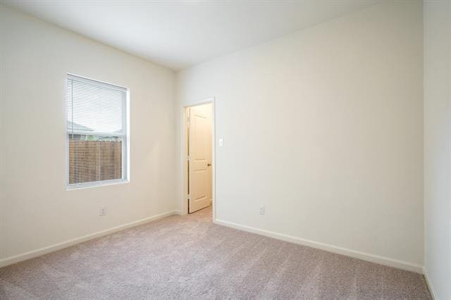 Building Photo - 4507 Firewheel Dr