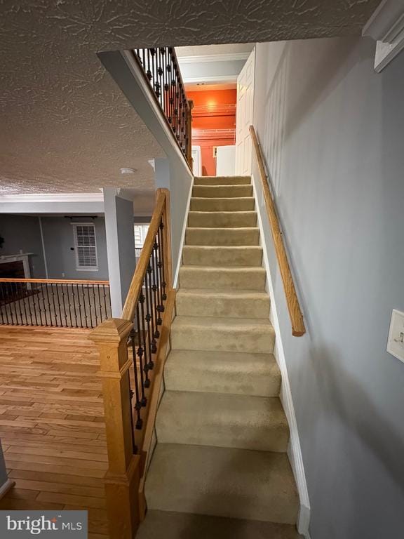 Building Photo - 10811 Topbranch Ln