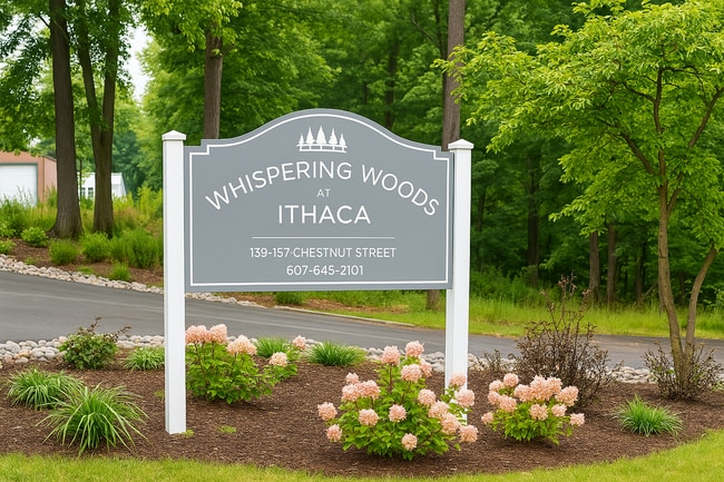 Entrada - 151 Chestnut St