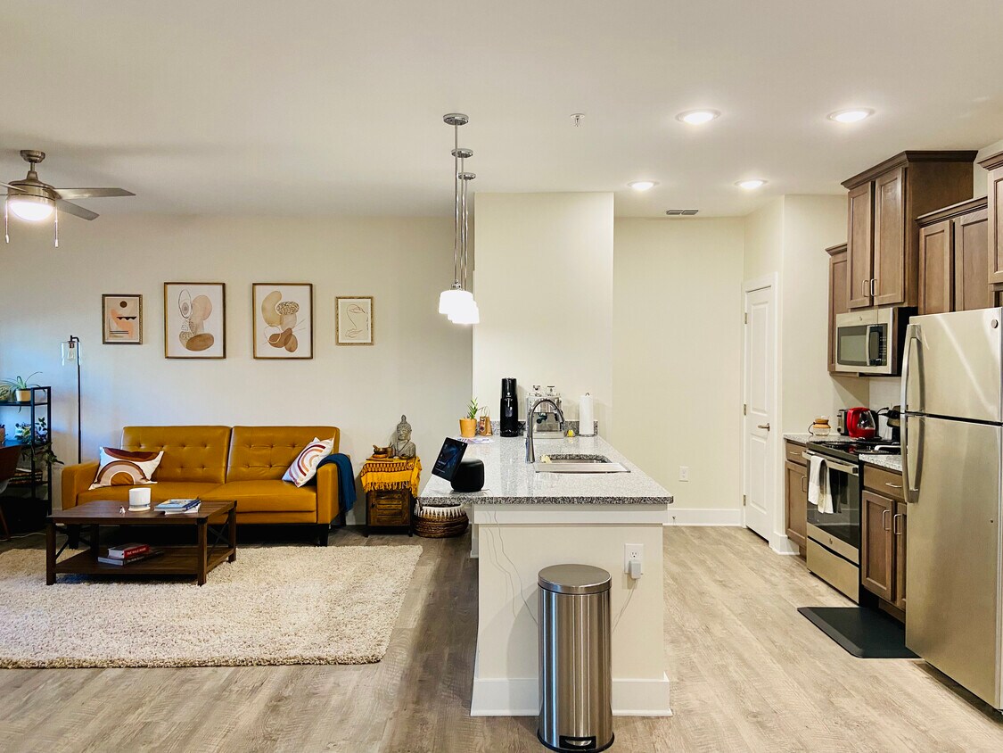 Sala de estar + cocina - 1160 Gashes Ridge Ln