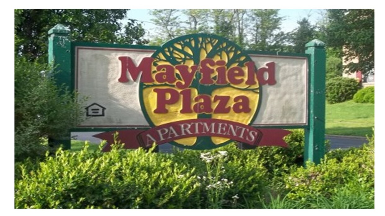 Primary Photo - Mayfield Plaza