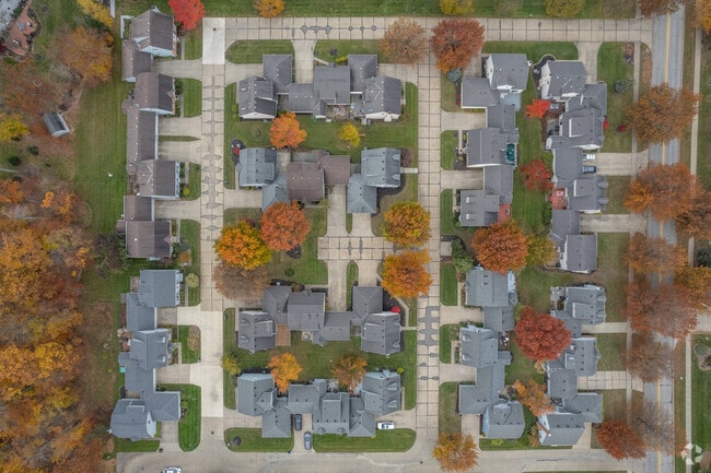 Aerial Photo - Pin Oaks