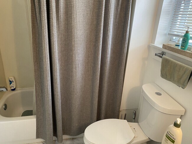 Foto del edificio - 229 Ann St