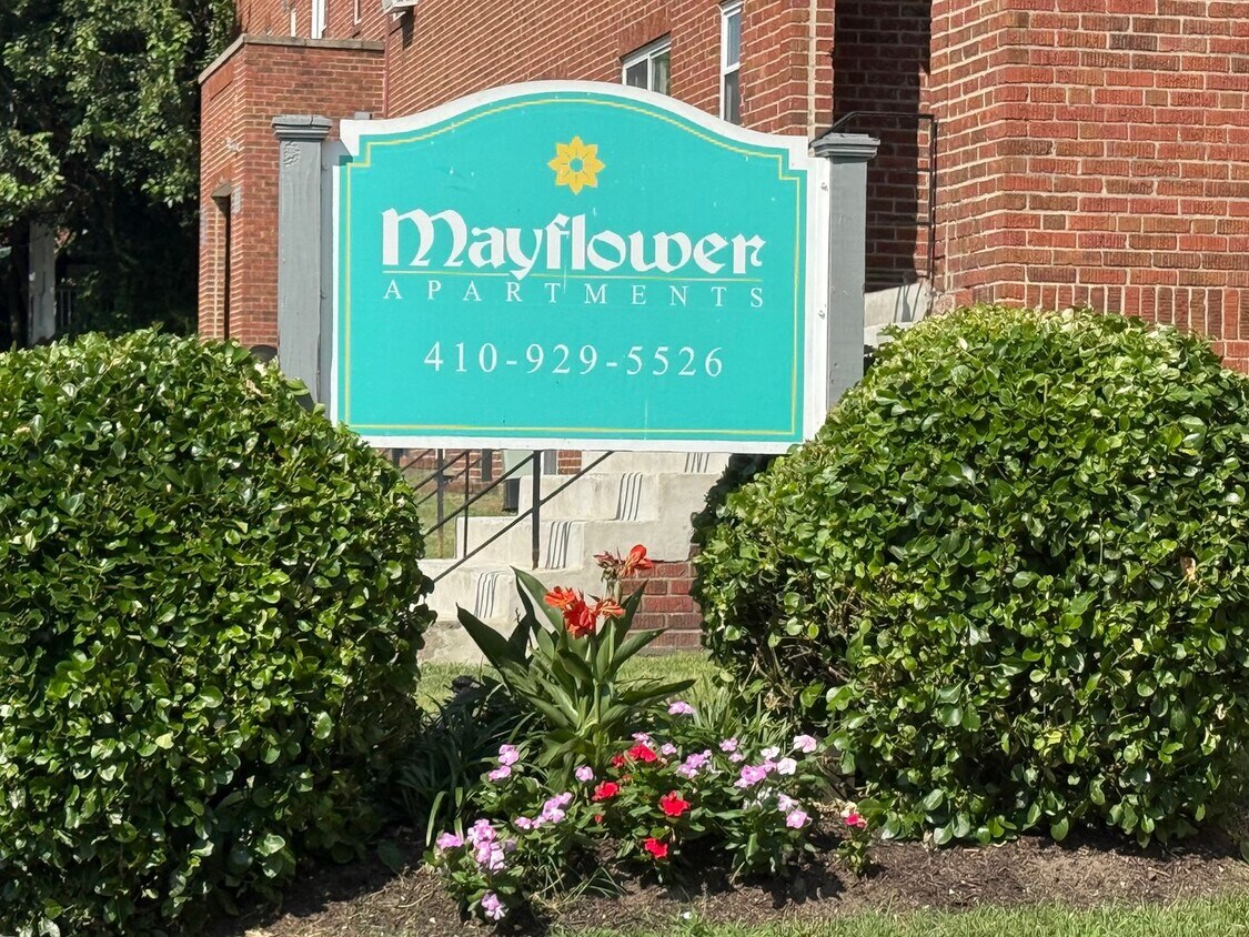Primary Photo - ? Cozy 1-Bedroom Apartment in Baltimore Ci...