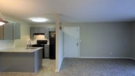 This single-floor unit offers an open-concept layout that connects the kitchen and living area in a practical, cohesive design. The kitchen is equipped with black appliances, including a refrigerator and electric range, complemented by grey cabinetry that provides ample storage. A light-toned countertop with a built-in sink extends along the kitchen perimeter, with a partial peninsula that subtly separates the cooking space from the rest of the unit. The kitchen features wood-style flooring, while the adjacent living area transitions to neutral carpet, adding a layer of comfort underfoot. A structural column near the entryway adds architectural definition to the open floor plan. The front door area is clean and unobstructed, offering a welcoming entry point into the space. Flush-mounted ceiling lighting provides consistent illumination throughout. The neutral wall tones in a soft sage-grey palette create a calm, cohesive atmosphere that ties the kitchen and living zones together. Overall, the space is compact yet well-organized, with a straightforward layout designed for efficient everyday living.