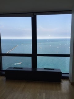 Foto del edificio - 910 N Lake Shore Dr