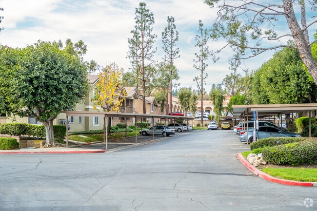 Building Photo - Rolling Ridge Apartments