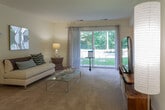 Located at 3100 Hampton Hwy in Yorktown, Virginia, this single-floor residence offers a practical and comfortable layout suited for everyday living. The kitchen is well-equipped with warm oak cabinetry providing generous storage, light countertops, a gas range, an under-cabinet ventilation hood, and hardwood-style flooring that adds a clean, grounded feel to the space. A sliding glass door in the living area fills the room with natural light and offers a view of the outdoors, creating an open and airy atmosphere. The bedrooms are carpeted throughout, maintaining a soft, quiet environment. One bedroom features dual closets with bifold doors, offering exceptional storage capacity, while additional bedrooms include their own closet space and windows that bring in natural light and outdoor views. A ceiling light fixture accents one of the bedrooms, adding a classic touch. The bathroom is finished with white subway tile surrounding a full soaking tub and shower combination, complemented by clean white tile flooring, keeping the space bright and easy to maintain. Overall, the unit presents a straightforward, functional design with consistent neutral tones, practical finishes, and a well-organized single-level floor plan.