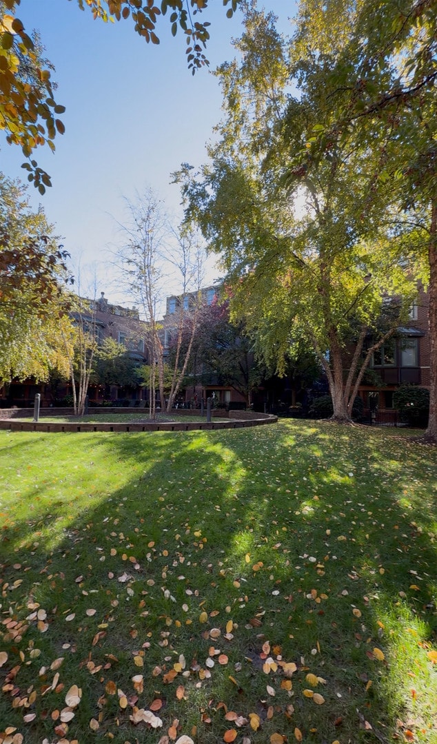 Building Photo - 1351 W Altgeld St