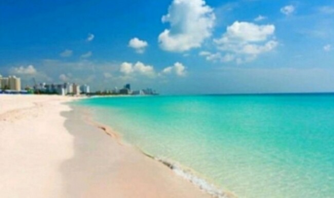 Short Walk to this Beach! - 1932 NE 7th St