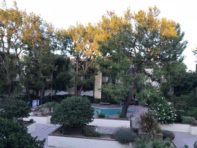 Balcony View - 497 E California Blvd