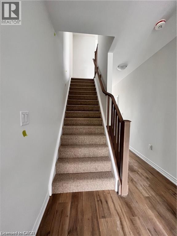 Building Photo - 290 Equestrian Way