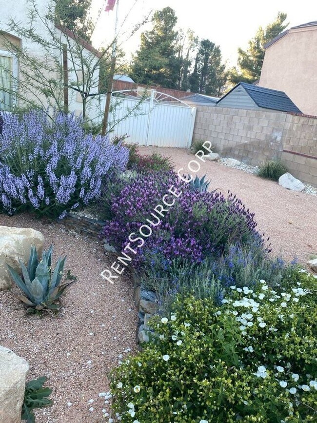 Foto del edificio - 4br 2ba Single Story Pool Home in West Pal...