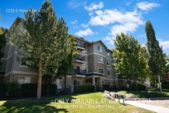 Building Photo - 1230 Privet Dr