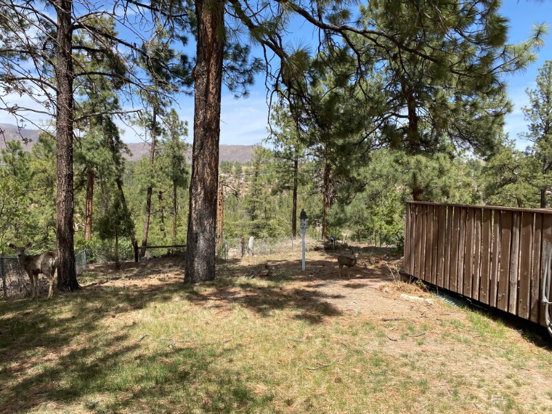 2982 Orange St, Los Alamos, NM 87544 Room for Rent in Los Alamos, NM