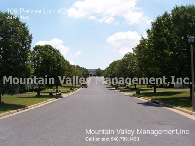 Building Photo - 2 bedroom in Bridgewater VA 22812