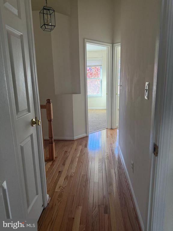 Foto del edificio - 2554 James Madison Cir