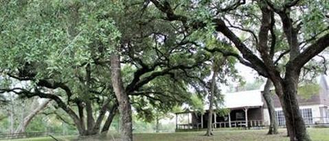 Foto del edificio - 11850 McCrocklin Rd