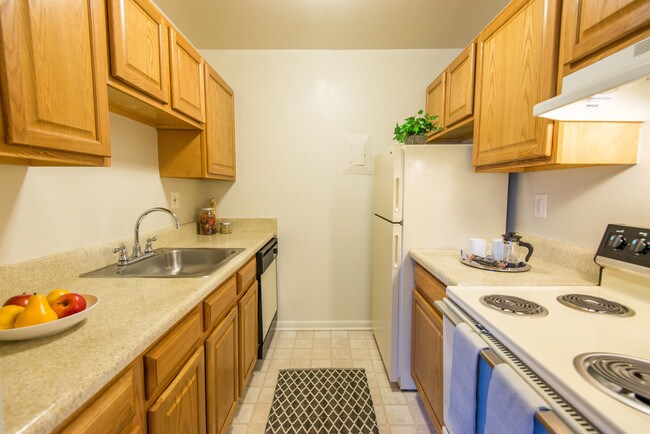 Cocina - Spruce Knob