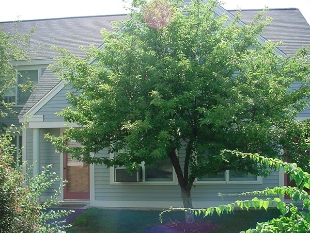 Building Photo - 92 Glenridge Drive