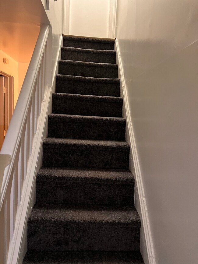 New carpet - 64 Spring St