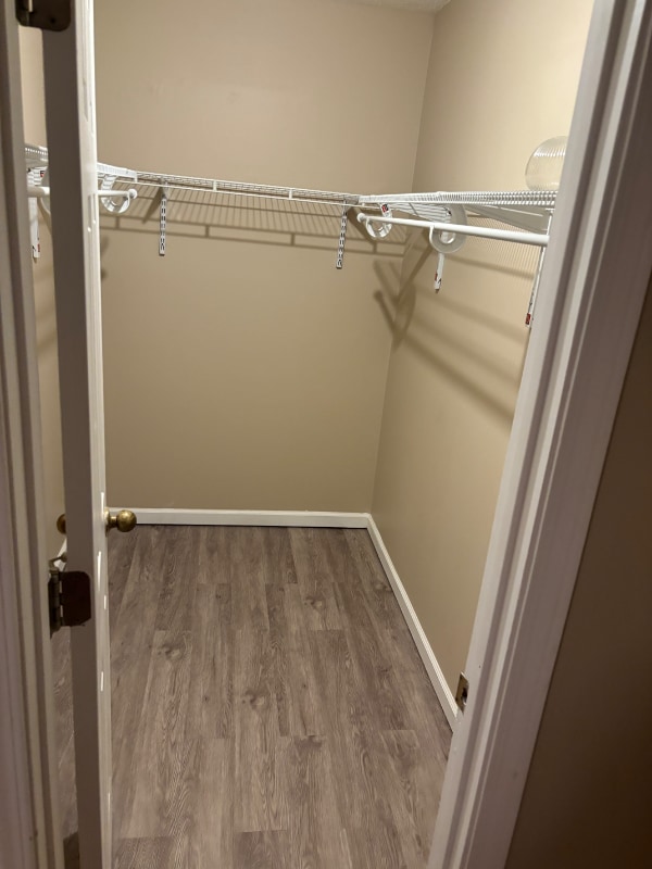 Building Photo - 415 Plantain Ct