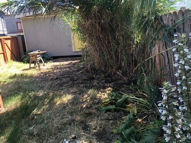Private backyard - 214 Arkansas St