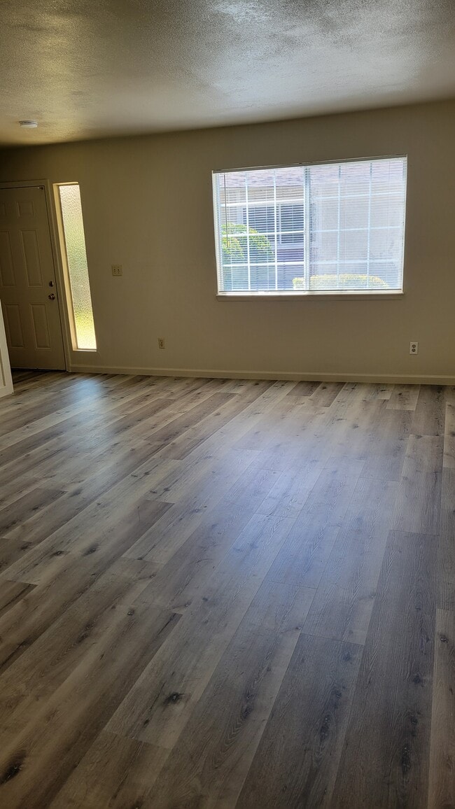 Living Room - 3216 Blue Ridge Cir