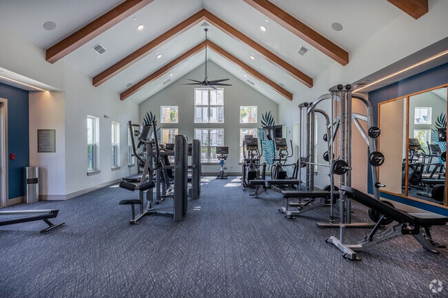 Gimnasio - Palmhouse