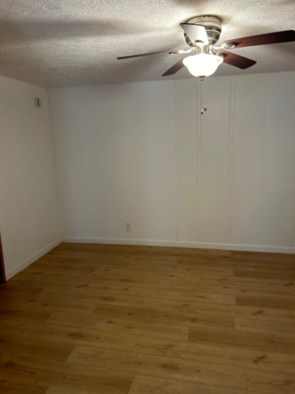 Building Photo - 231 Elm Ave