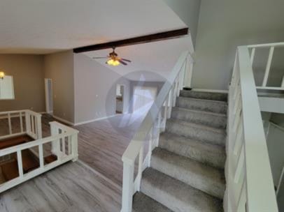 Building Photo - 180 Moonshadow Ct