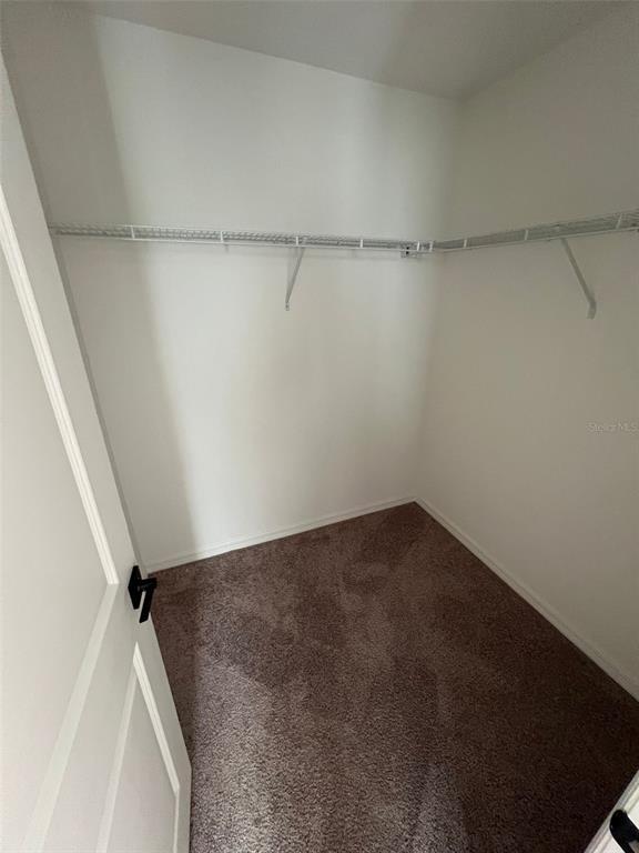 Foto del edificio - 746 Stoney Pointe Cir