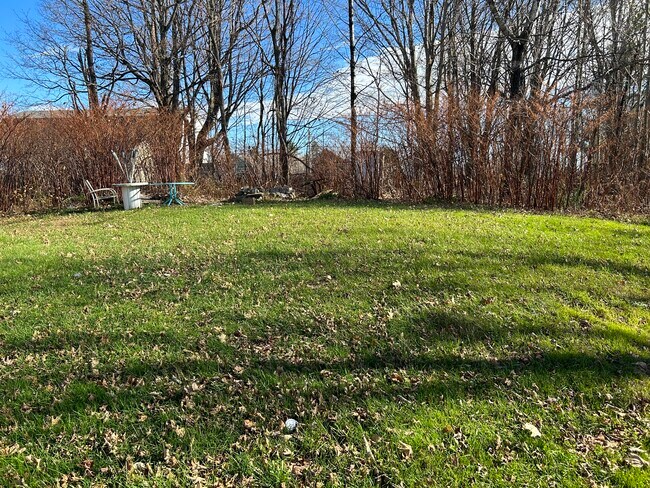 Shared yard space - 21 Bald Hill Rd