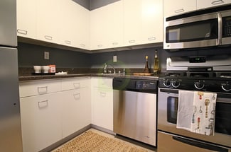 Building Photo - 1330 N Lake Shore Dr