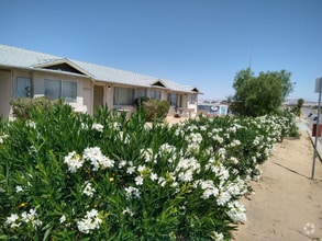 Building Photo - 5228 Adobe Rd