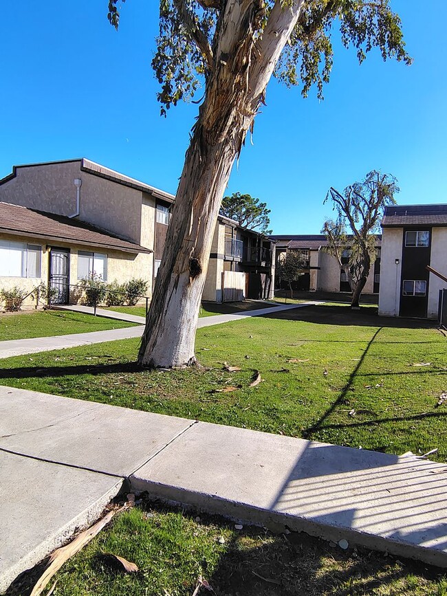 Foto del interior - College View Apartments